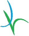 joynhealth logo